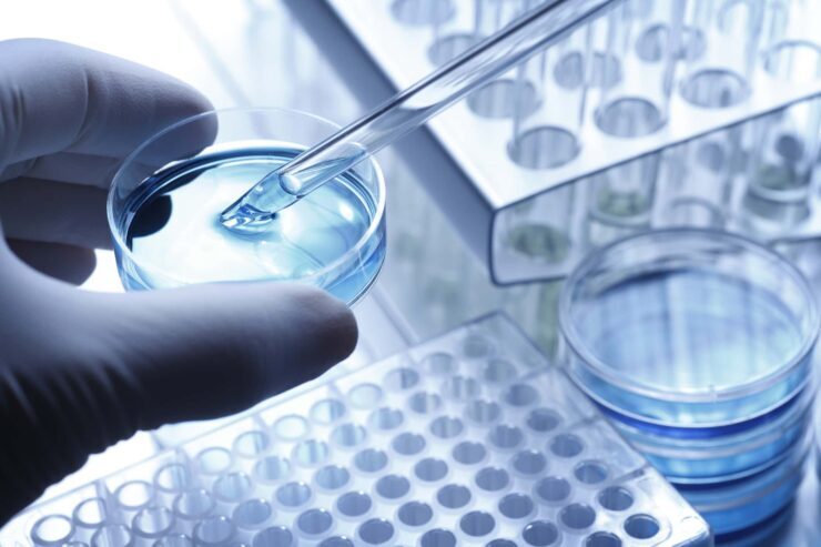 Recombinant Albumin: The potential of Lazuline’s rAlblaz
